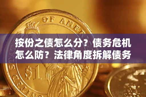 北京按份之债怎么分？债务危机怎么防？法律角度拆解债务分配与风险自保指南