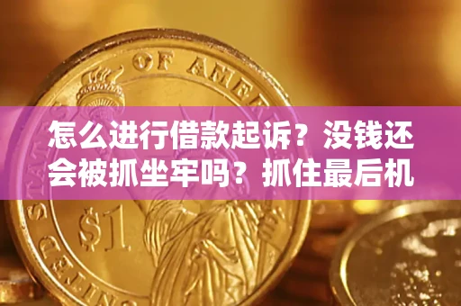 北京怎么进行借款起诉？没钱还会被抓坐牢吗？抓住最后机会！