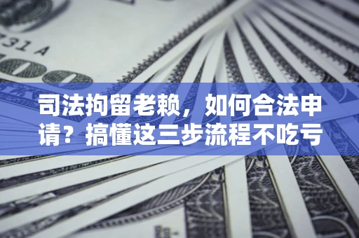 北京司法拘留老赖，如何合法申请？搞懂这三步流程不吃亏！