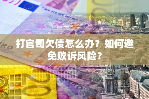 北京打官司欠债怎么办？如何避免败诉风险？