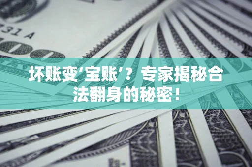 北京坏账变‘宝账’？专家揭秘合法翻身的秘密！