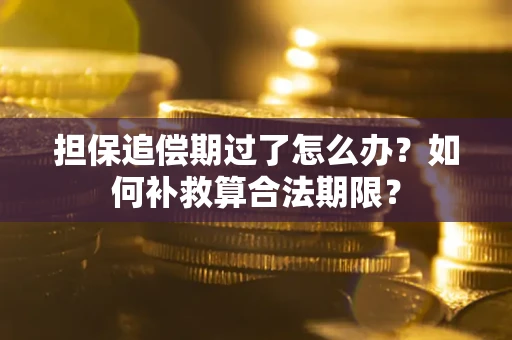 北京担保追偿期过了怎么办？如何补救算合法期限？