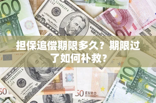 北京担保追偿期限多久？期限过了如何补救？