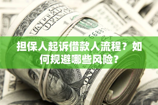 北京担保人起诉借款人流程？如何规避哪些风险？