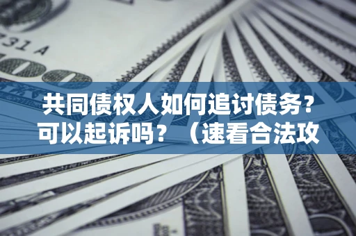 北京共同债权人如何追讨债务？可以起诉吗？（速看合法攻略）