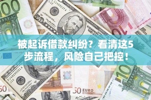 北京被起诉借款纠纷？看清这5步流程，风险自己把控！