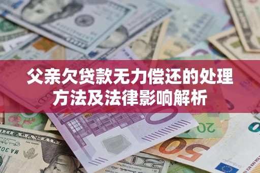 北京父亲欠贷款无力偿还的处理方法及法律影响解析