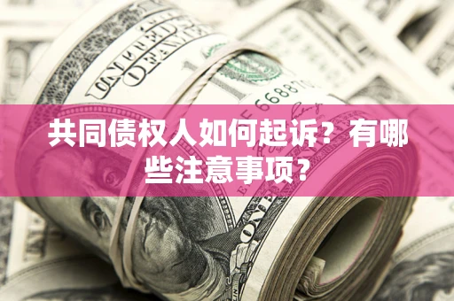 北京共同债权人如何起诉？有哪些注意事项？