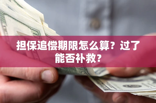 北京担保追偿期限怎么算？过了能否补救？